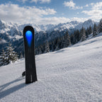 Snowboard - Special Edition